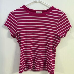 Womens Riley & James Pink Short Sleeve Striped Shirt Large